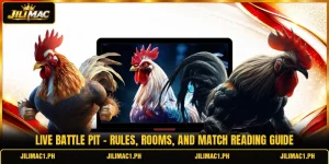 Live Battle Pit - Rules, Rooms, And Match Reading Guide