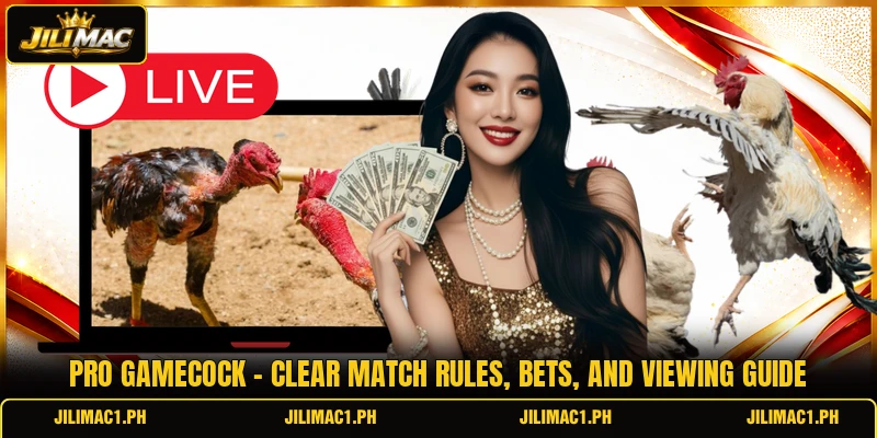 Pro Gamecock - Clear Match Rules, Bets, And Viewing Guide